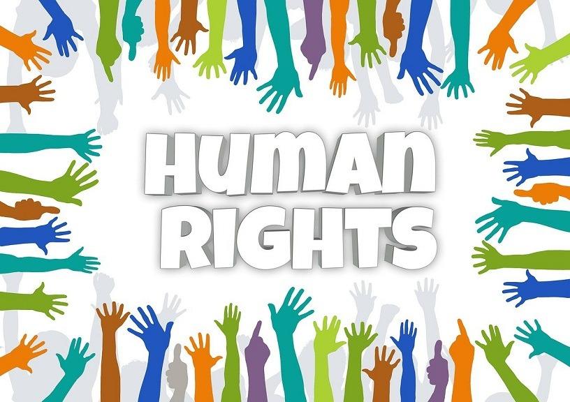 Human Rights Courses